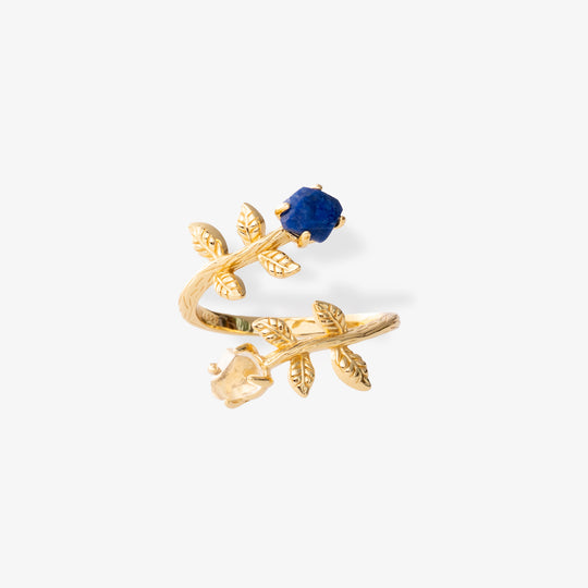 Goddesses Garden Ring – Lapis Lazuli and Herkimer Diamond